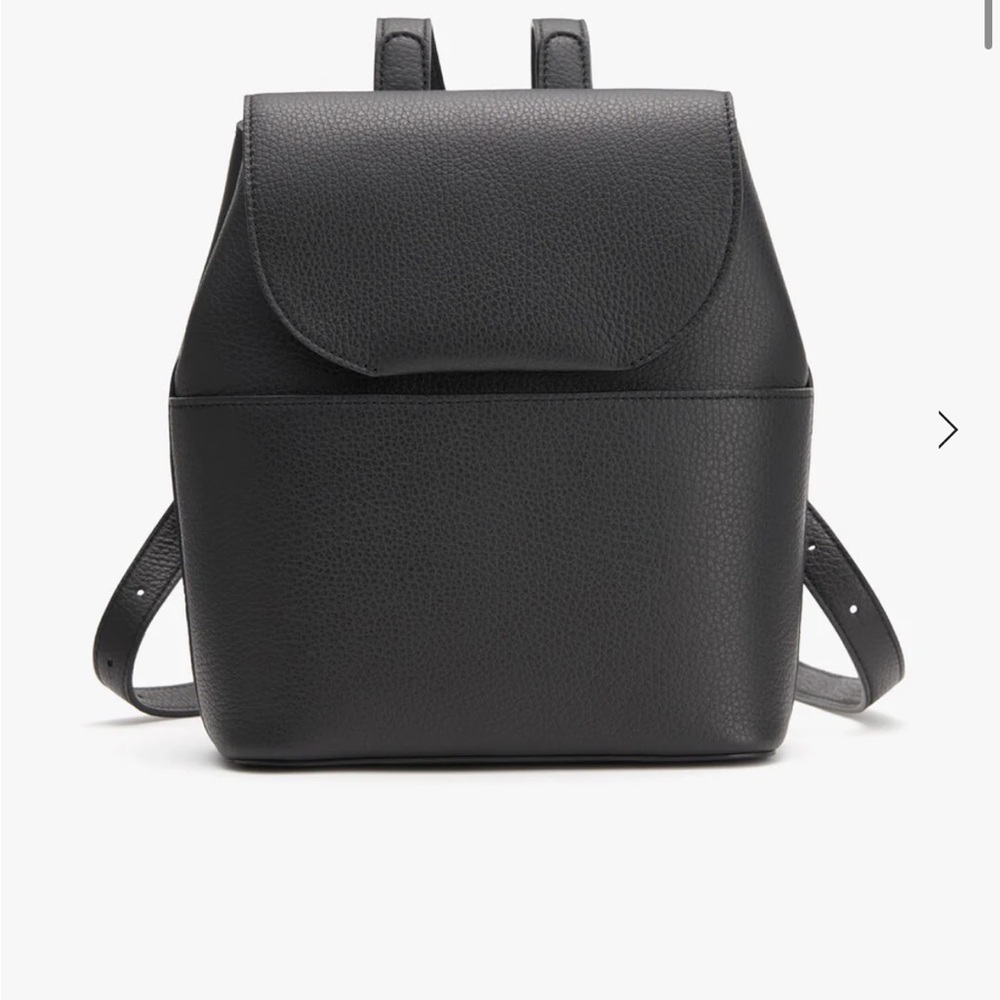 Cuyana Mini Leather Backpack